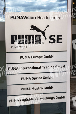 Symbolfoto Puma