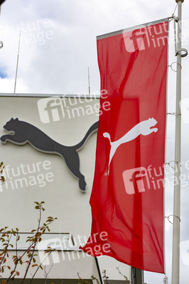 Symbolfoto Puma