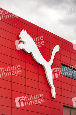 Symbolfoto Puma