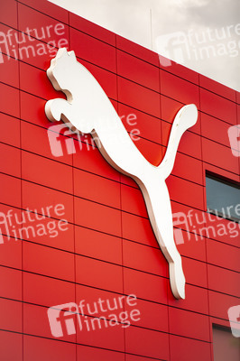 Symbolfoto Puma
