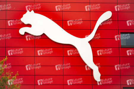 Symbolfoto Puma