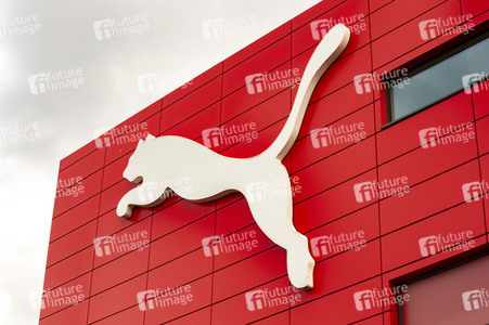 Symbolfoto Puma