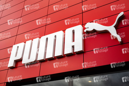 Symbolfoto Puma