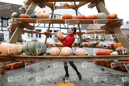 Kürbiskauf mit Dany Michalski in Eldagsen