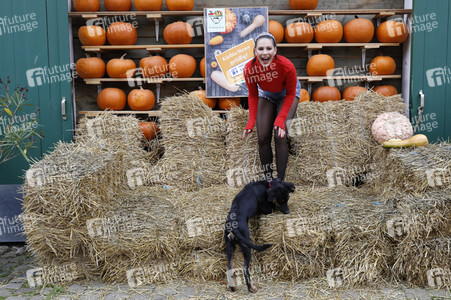Kürbiskauf mit Dany Michalski in Eldagsen