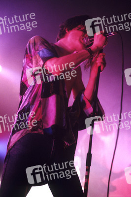 Konzert von Ned's Atomic Dustbin in London