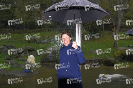 Eisbären im Tierpark Hellabrunn in München