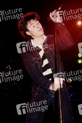 Konzert von Paul Young & The Royal Family in London