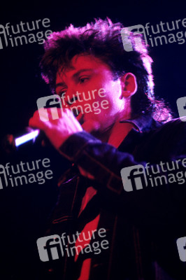 Konzert von Paul Young & The Royal Family in London