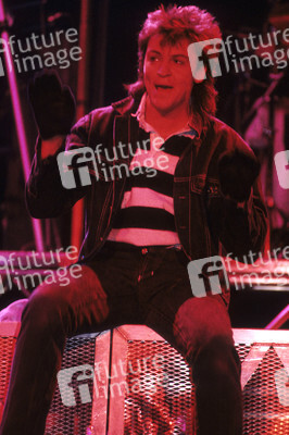 Konzert von Paul Young & The Royal Family in London