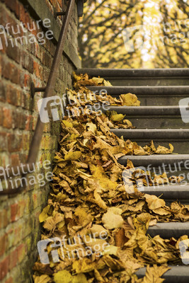 Symbolfoto Herbst