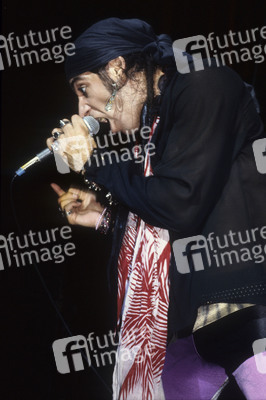 Konzert von Little Steven and the Disciples of Soul in London