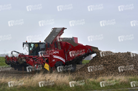 Symbolfoto Rübenernte