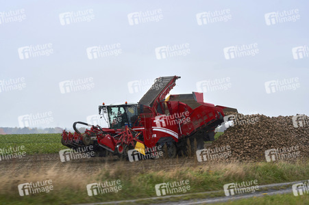 Symbolfoto Rübenernte