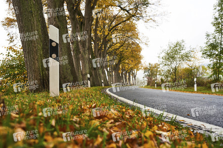 Symbolfoto Straßenverkehr in Herbst