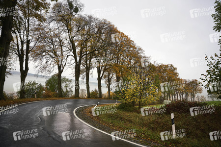 Symbolfoto Straßenverkehr in Herbst