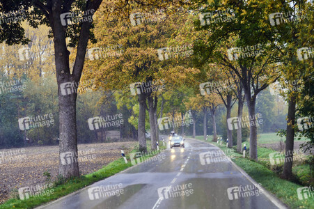 Symbolfoto Straßenverkehr in Herbst