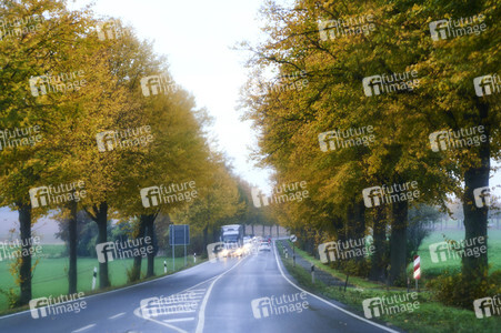 Symbolfoto Straßenverkehr in Herbst