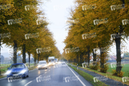 Symbolfoto Straßenverkehr in Herbst
