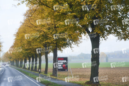 Symbolfoto Straßenverkehr in Herbst