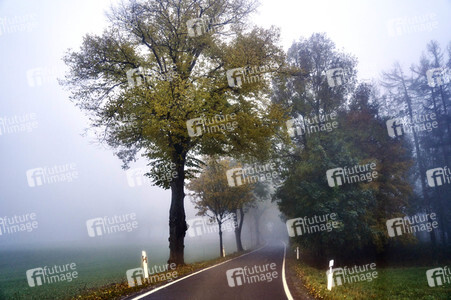 Symbolfoto Straßenverkehr in Herbst