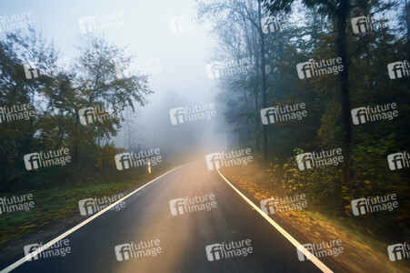 Symbolfoto Straßenverkehr in Herbst