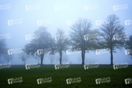 Symbolfoto Nebel
