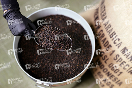 Symbolfoto schwarzer Pfeffer