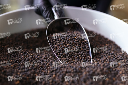 Symbolfoto schwarzer Pfeffer