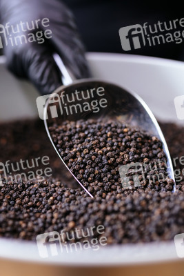 Symbolfoto schwarzer Pfeffer