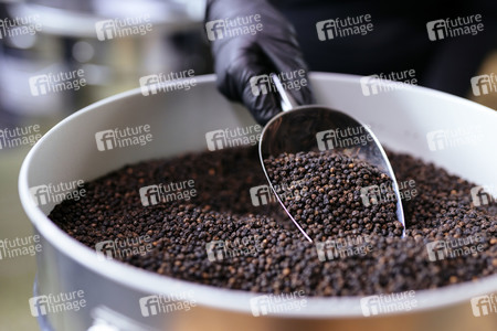 Symbolfoto schwarzer Pfeffer