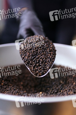 Symbolfoto schwarzer Pfeffer