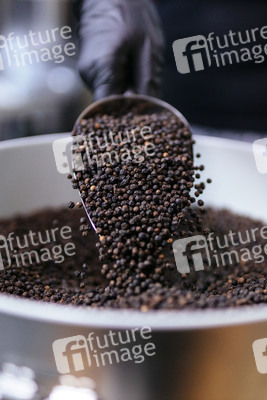 Symbolfoto schwarzer Pfeffer