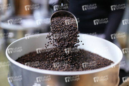 Symbolfoto schwarzer Pfeffer