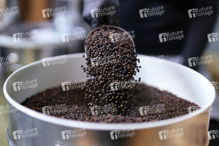 Symbolfoto schwarzer Pfeffer