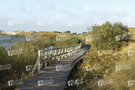 Impressionen von der Nordseeinsel Amrum