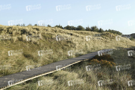 Impressionen von der Nordseeinsel Amrum