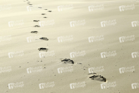 Impressionen von der Nordseeinsel Amrum