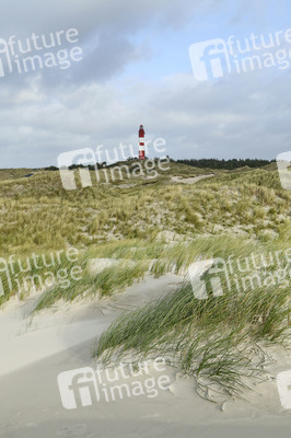 Impressionen von der Nordseeinsel Amrum