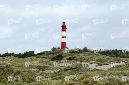 Impressionen von der Nordseeinsel Amrum