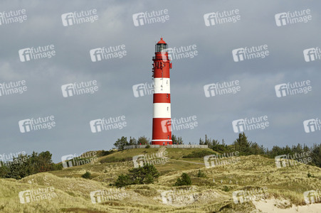 Impressionen von der Nordseeinsel Amrum