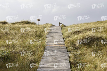 Impressionen von der Nordseeinsel Amrum