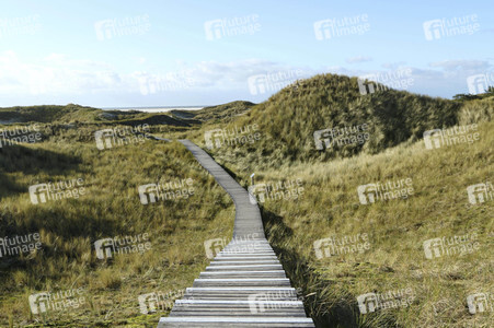 Impressionen von der Nordseeinsel Amrum