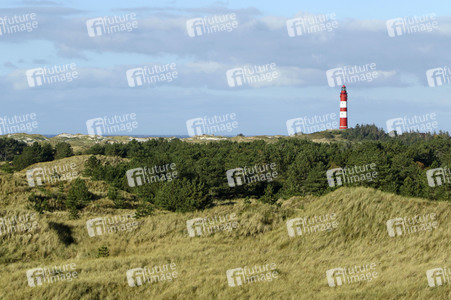 Impressionen von der Nordseeinsel Amrum