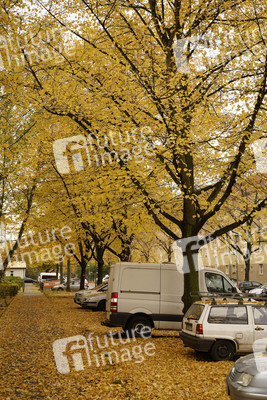 Herbst in Berlin