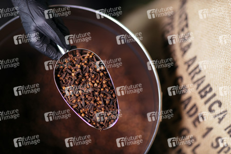 Symbolfoto Gewürznelken