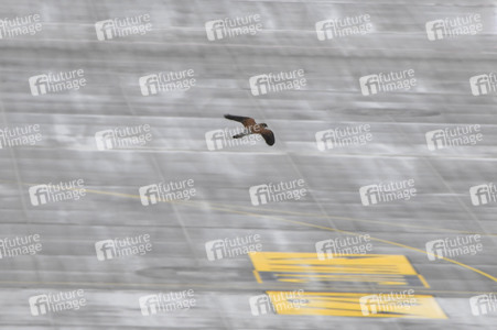 Eröffnung des Flughafens Berlin-Brandenburg in Schönefeld