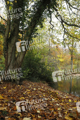 NATURE ART: Herbstlaub / Autumn Leaves Bodypainting