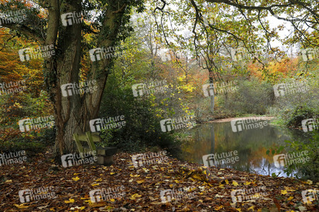 NATURE ART: Herbstlaub / Autumn Leaves Bodypainting
