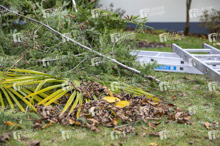 Symbolfoto Gartenarbeit